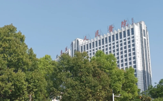 张掖找人代替抽血阜阳入职体检服务