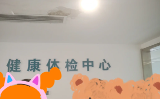 张掖找人代替抽血陇南入职体检服务