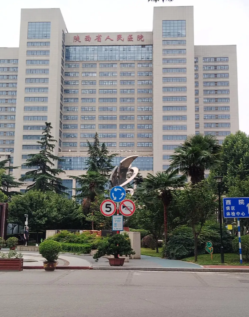 张掖找人代替抽血西安体检服务-第1张图片-代解忧