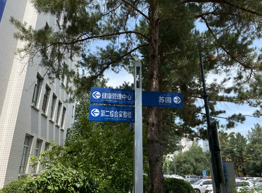 张掖找人代替抽血乌鲁木齐入职体检服务-第1张图片-代解忧
