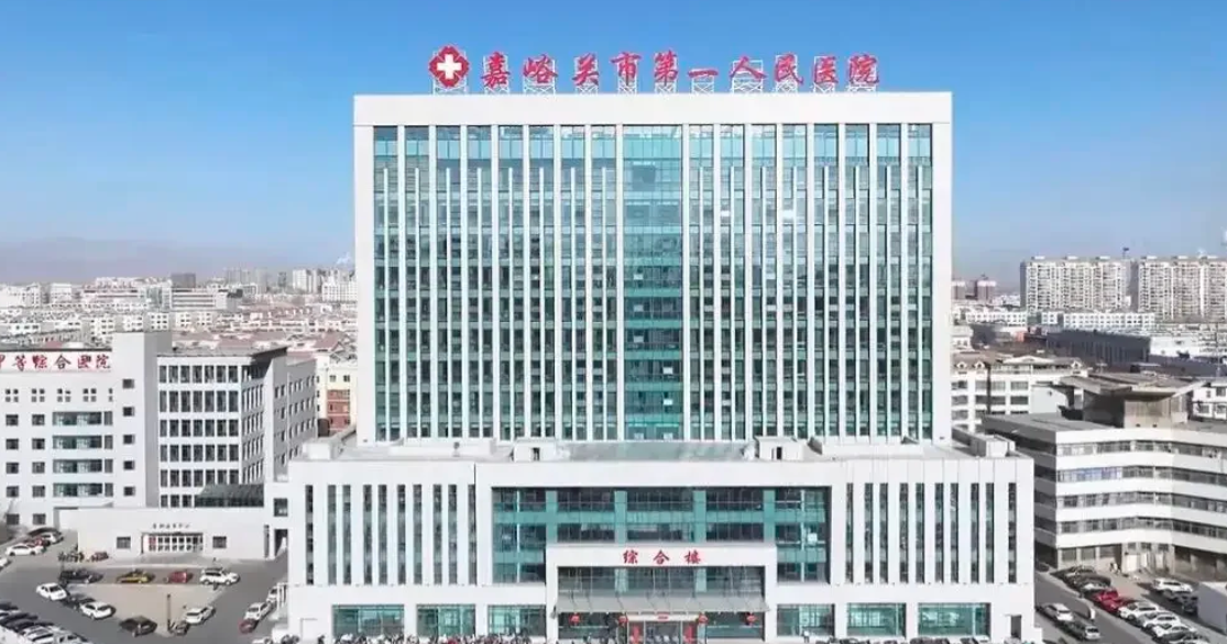 张掖找人代替抽血嘉峪关入职体检服务-第1张图片-代解忧